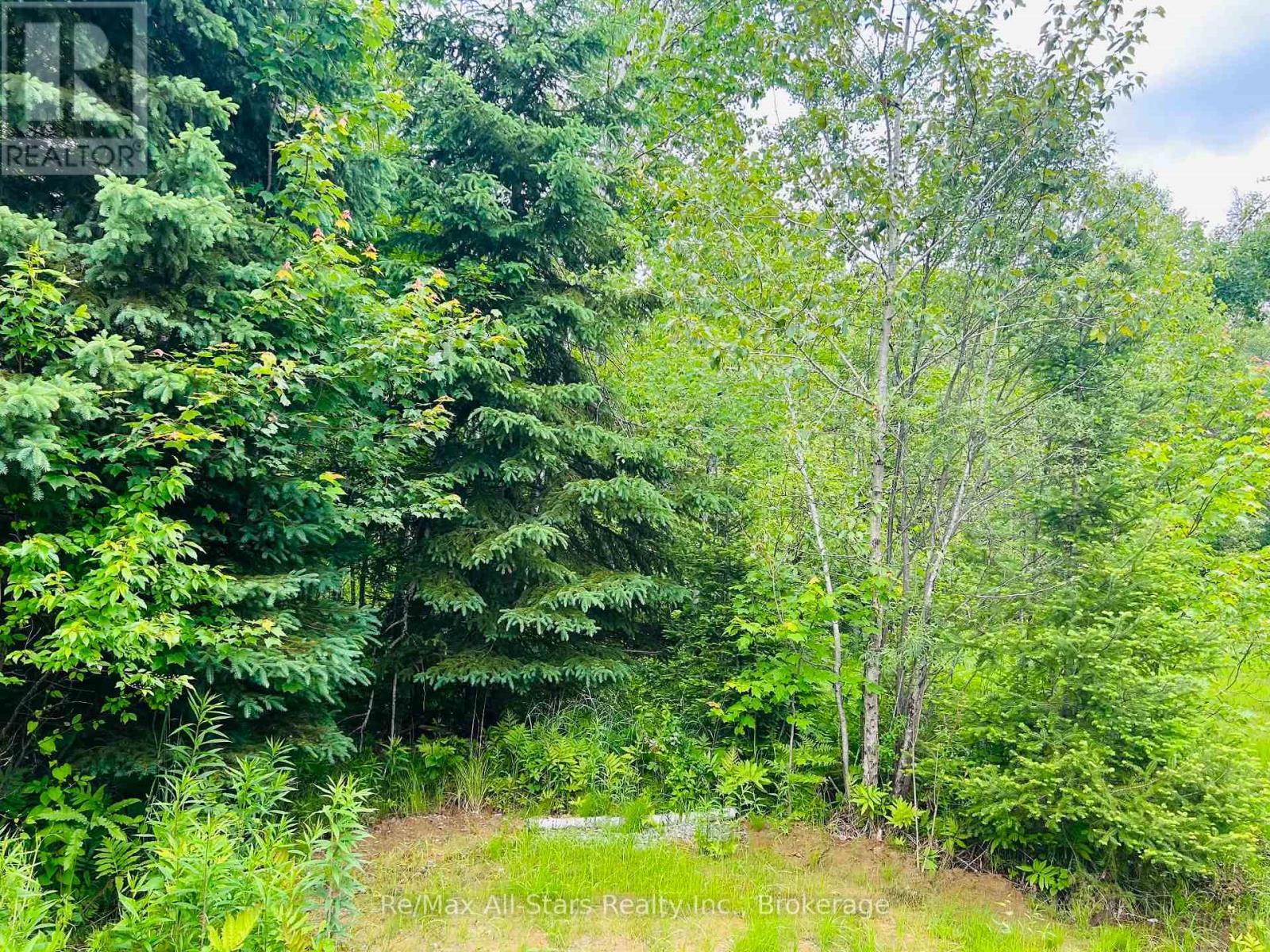 1190 Bacon Road, Minden Hills, Ontario  K0M 2K0 - Photo 11 - X13460694