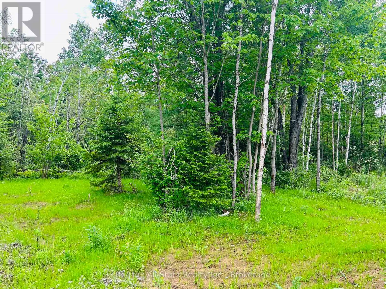 1190 Bacon Road, Minden Hills, Ontario  K0M 2K0 - Photo 12 - X13460694