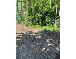 3365 ARMAND AVENUE, Severn, Ontario