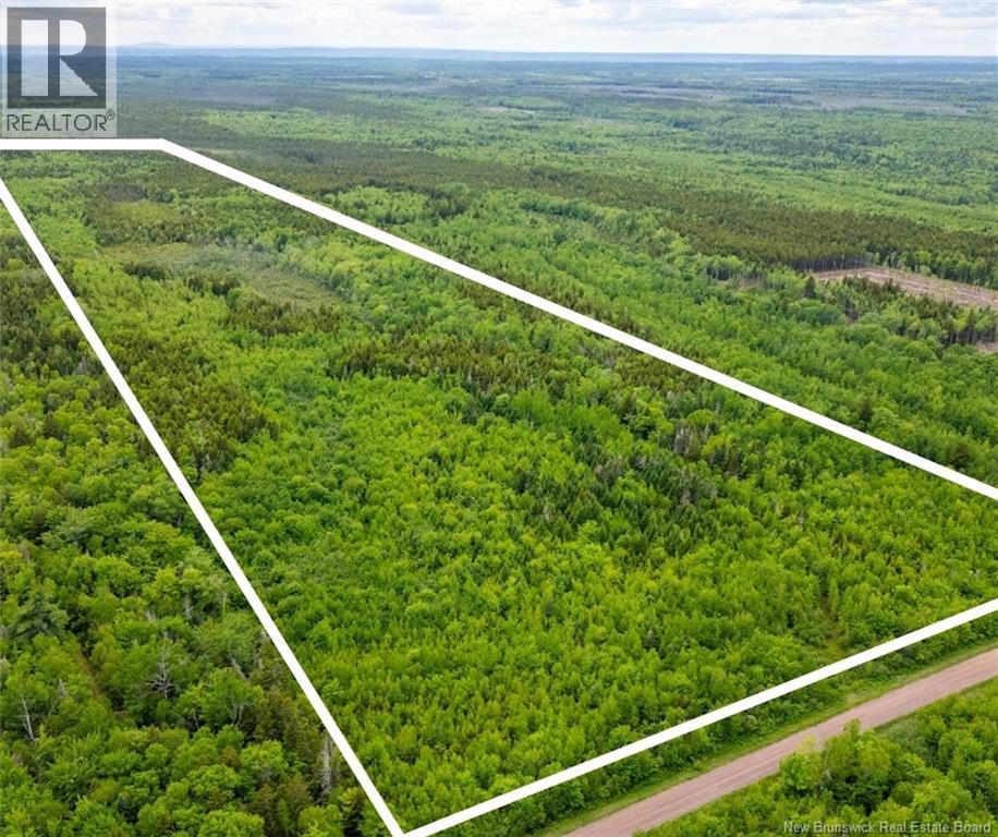 Lot Coburg Road, Port Elgin, New Brunswick  E4M 1M5 - Photo 2 - NB142051