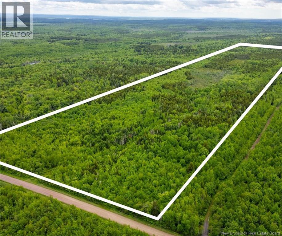Lot Coburg Road, Port Elgin, New Brunswick  E4M 1M5 - Photo 3 - NB142051