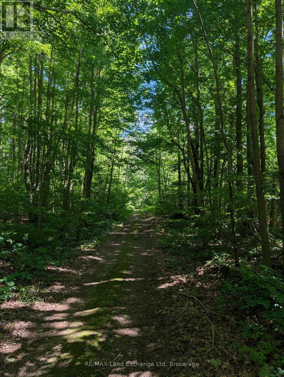 35 Sideroad 10a, South Bruce, Ontario  N0G 2S0 - Photo 46 - X13416422