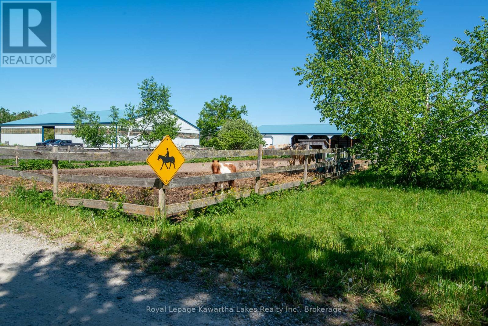 2435 Elm Tree Road, Kawartha Lakes, Ontario  K0M 1E0 - Photo 29 - X13243310