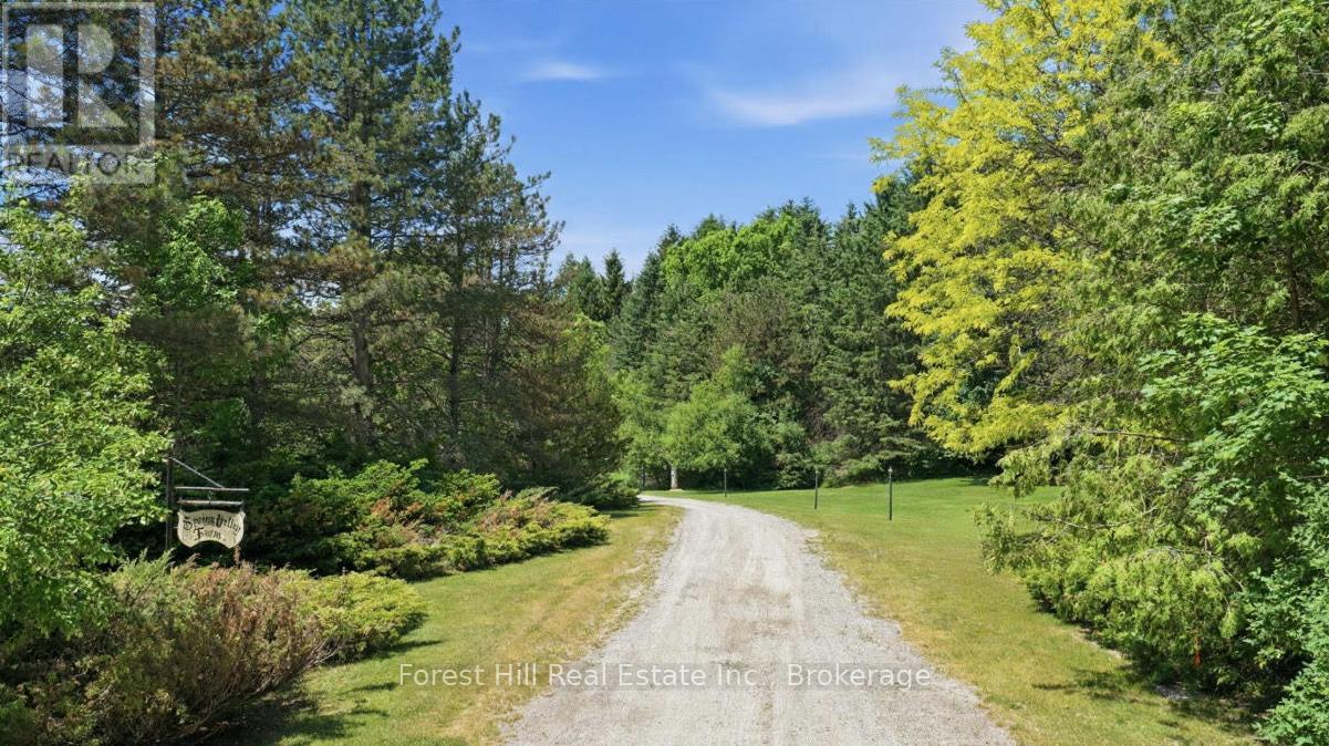 53 Church Street, Melancthon, Ontario  L0N 1J0 - Photo 5 - X13460810