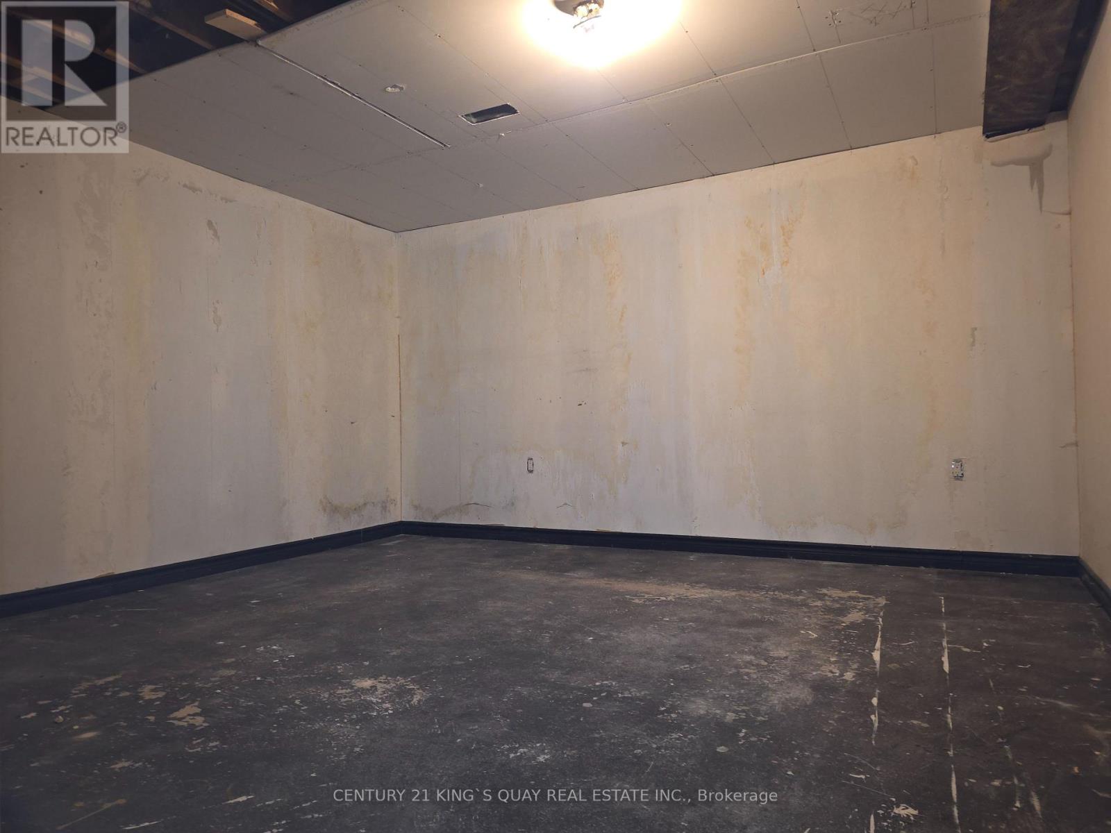43 Helen Avenue, Markham, Ontario  L3R 1J6 - Photo 39 - N13448756