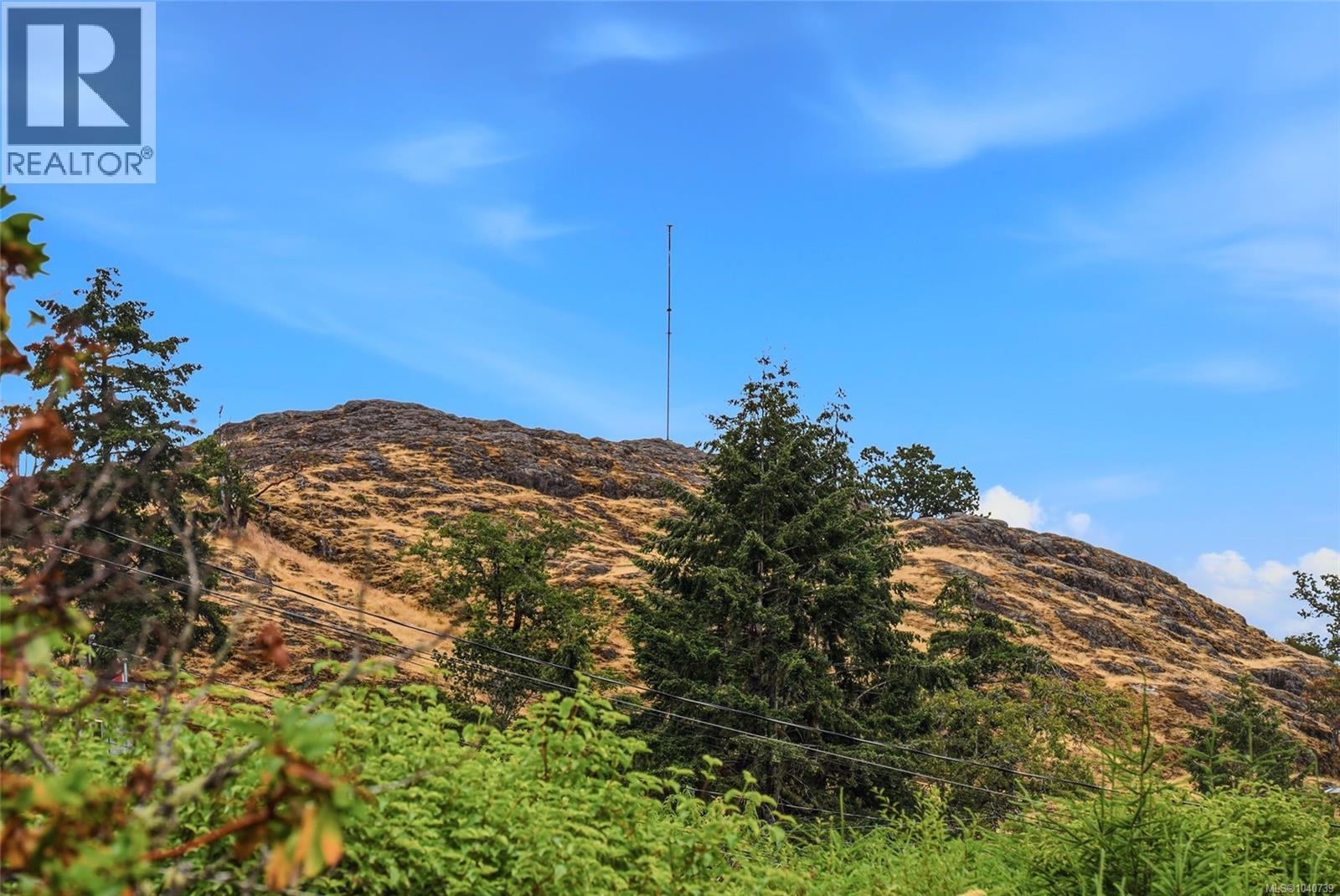 Listing image 67