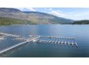 213 White Pine Crescent Unit# 243, Sicamous, BC V0E 2V1