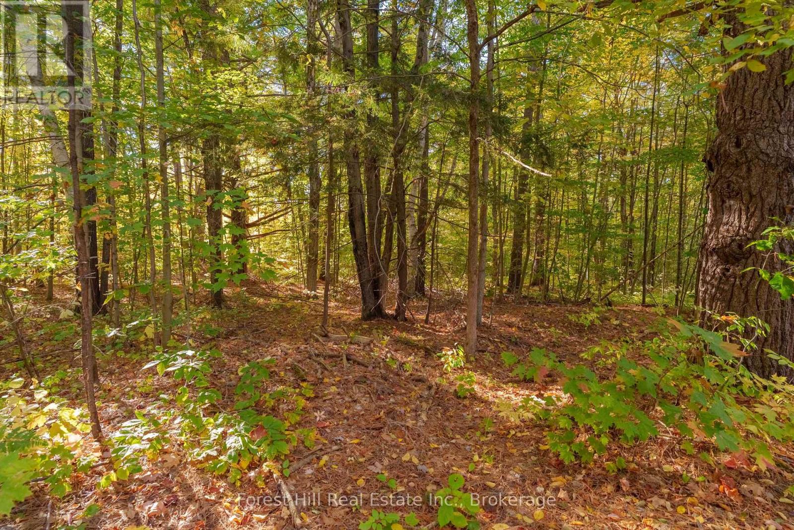 3864 Highway 118 W, Muskoka Lakes (Medora), Ontario  P0B 1J0 - Photo 33 - X13461476
