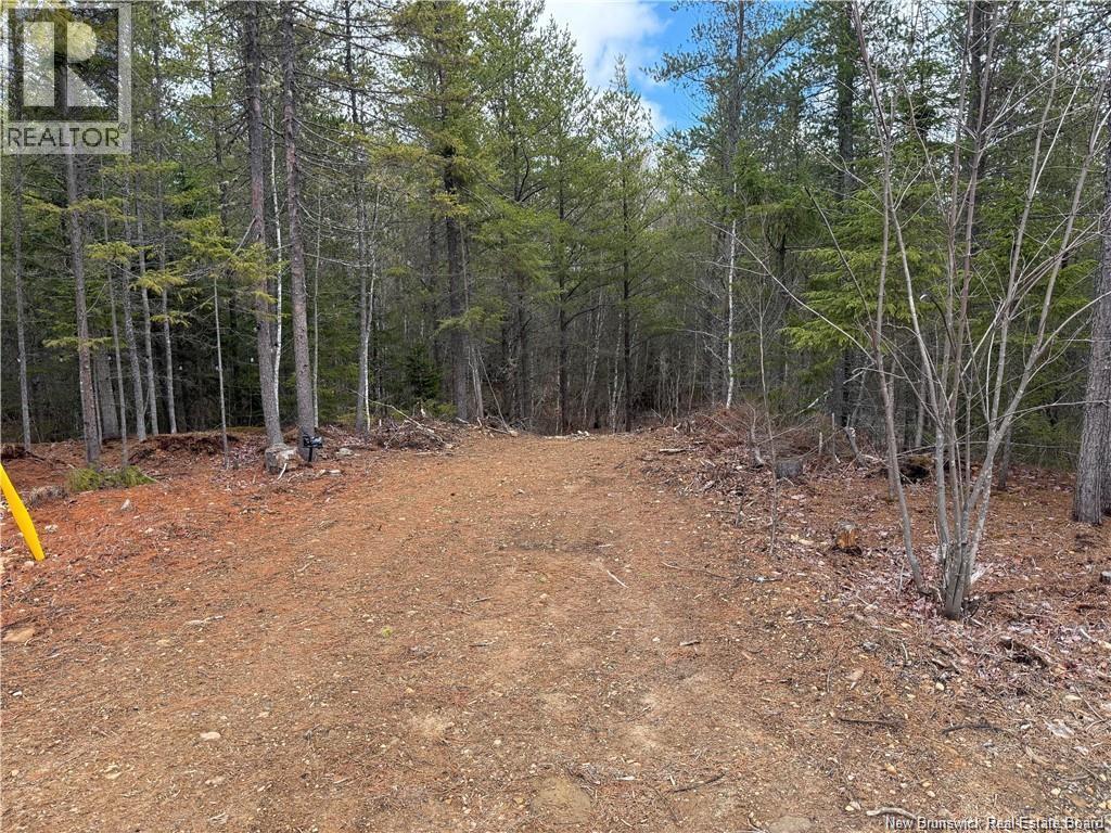 Grey Road, Penobsquis, New Brunswick  E4E 5S7 - Photo 2 - NB142136