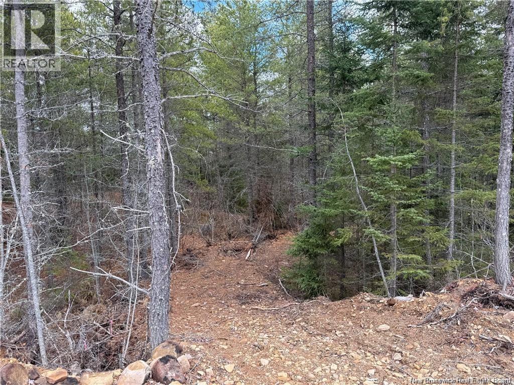 Grey Road, Penobsquis, New Brunswick  E4E 5S7 - Photo 3 - NB142136
