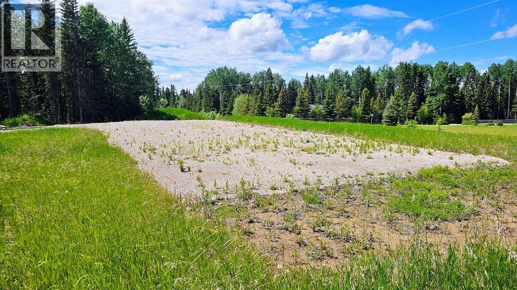 31, 5209 Township Road 325a, Rural Mountain View County, Alberta  T0M 1X0 - Photo 6 - A2322298