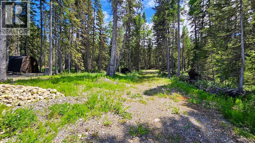 31, 5209 Township Road 325a, Rural Mountain View County, Alberta  T0M 1X0 - Photo 12 - A2322298