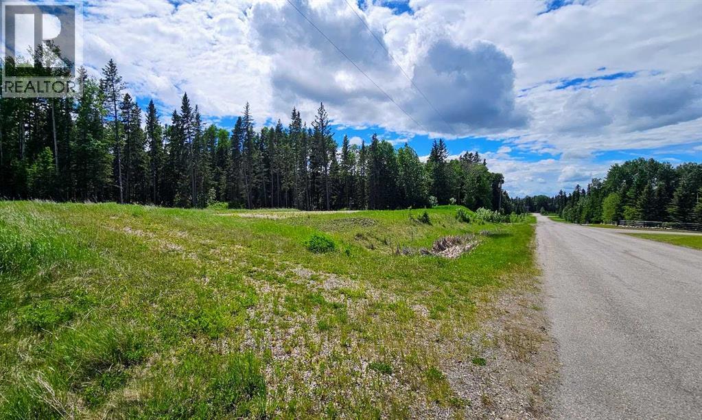 31, 5209 Township Road 325a, Rural Mountain View County, Alberta  T0M 1X0 - Photo 26 - A2322298