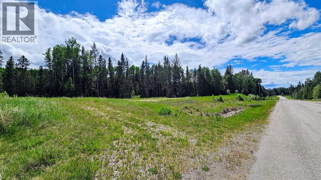 31, 5209 Township Road 325a, Rural Mountain View County, Alberta  T0M 1X0 - Photo 4 - A2322298