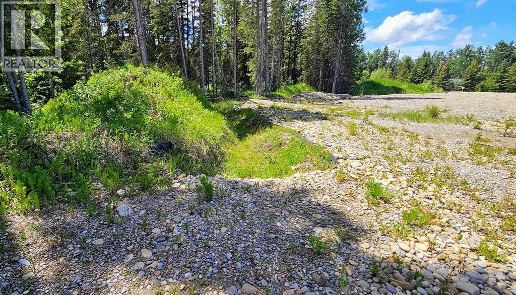 31, 5209 Township Road 325a, Rural Mountain View County, Alberta  T0M 1X0 - Photo 11 - A2322298