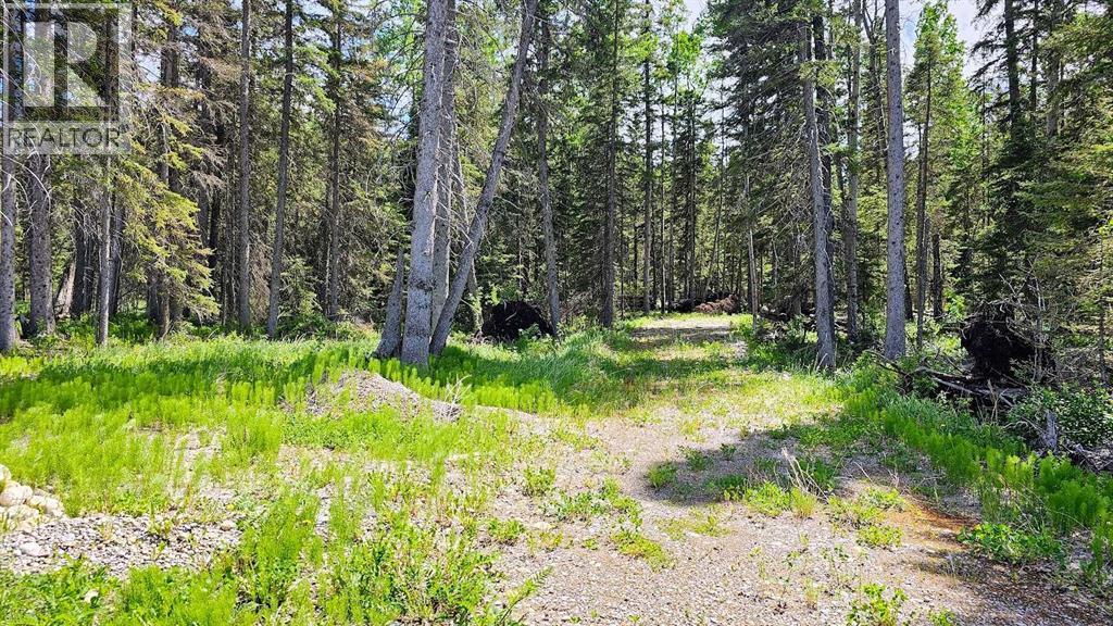 31, 5209 Township Road 325a, Rural Mountain View County, Alberta  T0M 1X0 - Photo 13 - A2322298