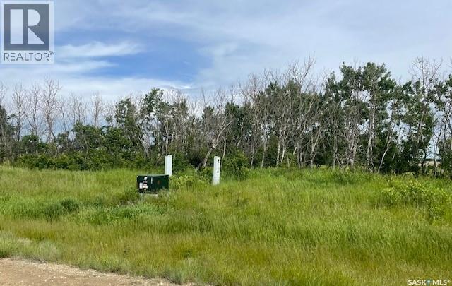 Lot 4 Viceroy Road, North Battleford Rm No. 437, Saskatchewan  S9A 0S6 - Photo 1 - SK039912