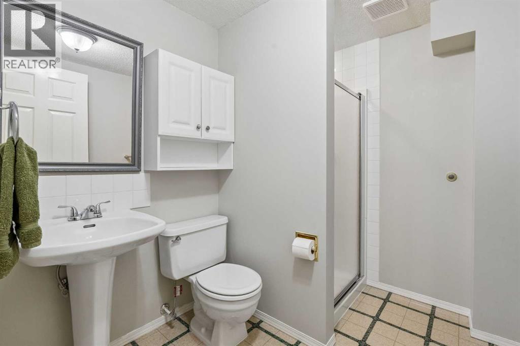 67 Hawkwood Drive NW, Calgary, Alberta  T3G 3H9 - Photo 29 - A2321252
