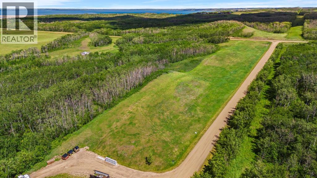 Buffalo Lane, Rural Stettler No. 6, Alberta  T0C 3B0 - Photo 3 - A2321250