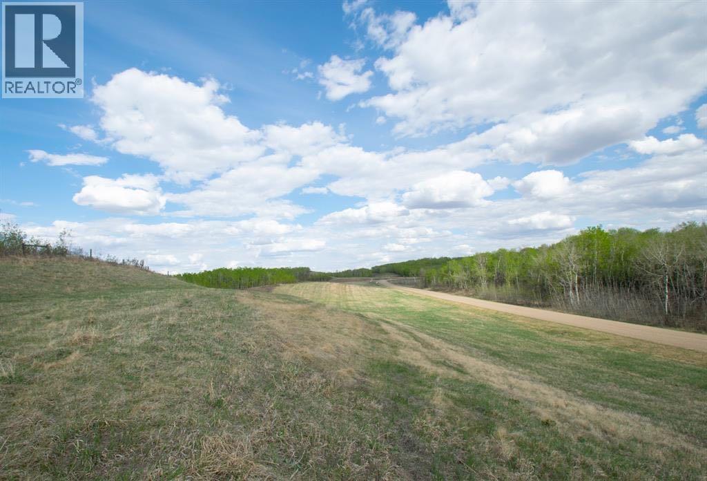 Buffalo Lane, Rural Stettler No. 6, Alberta  T0C 3B0 - Photo 4 - A2321250