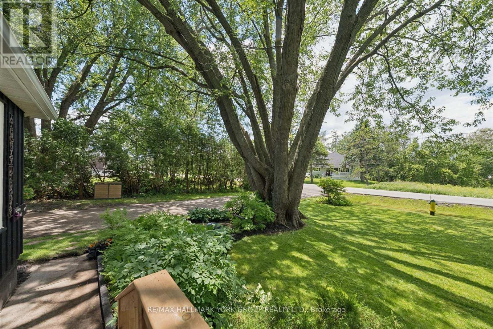 47 Sunnidale Boulevard, Georgina, Ontario  L0E 1L0 - Photo 5 - N13461640