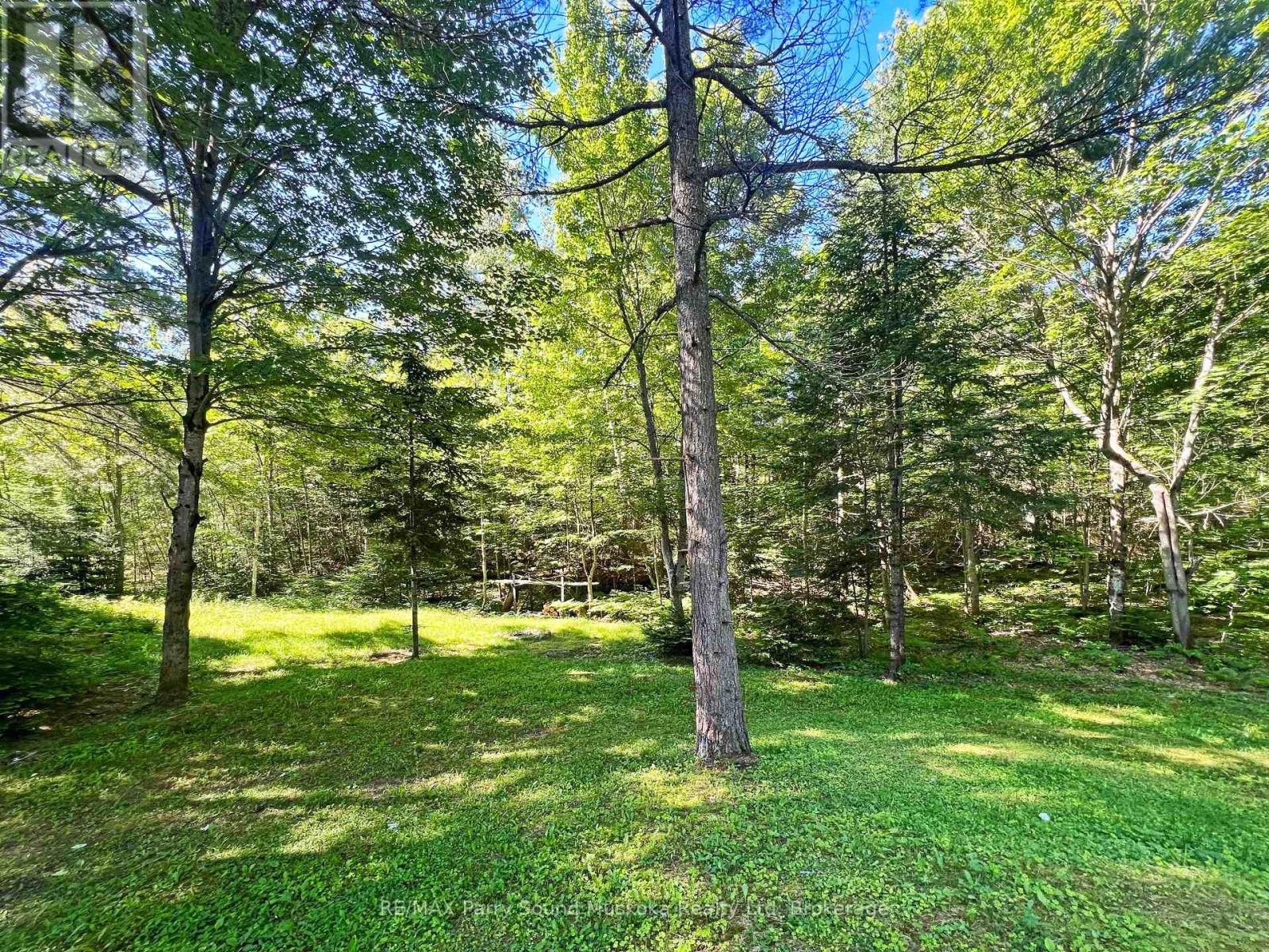 9 Little's Lane, Carling, Ontario  P0G 1G0 - Photo 5 - X13461930