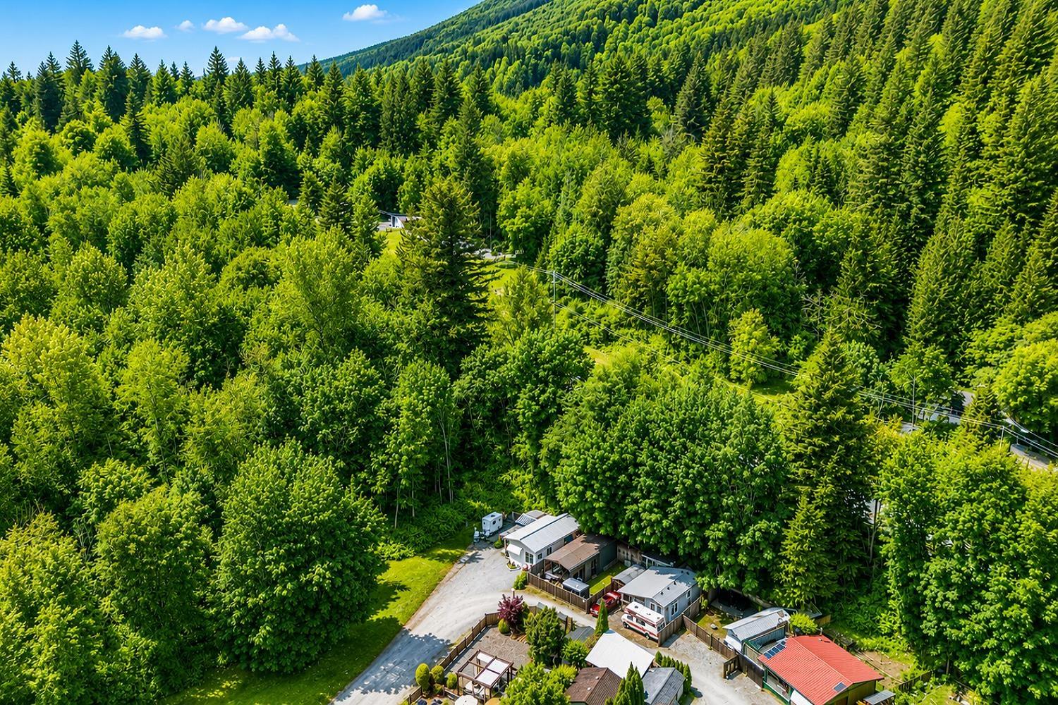 49 1650 Columbia Valley Road, Columbia Valley, Columbia Valley, British Columbia  V2R 4X4 - Photo 28 - R3131248