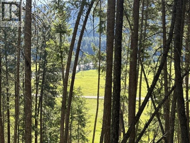 5600 Christian Valley Road, Westbridge, British Columbia  V0H 1Y0 - Photo 22 - 10374716