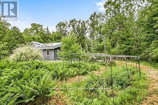 1005 Kirby's Beach Road, Bracebridge, Ontario  P1L 1X2 - Photo 36 - X13462502