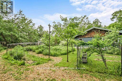 1005 Kirby's Beach Road, Bracebridge, Ontario  P1L 1X2 - Photo 38 - X13462502
