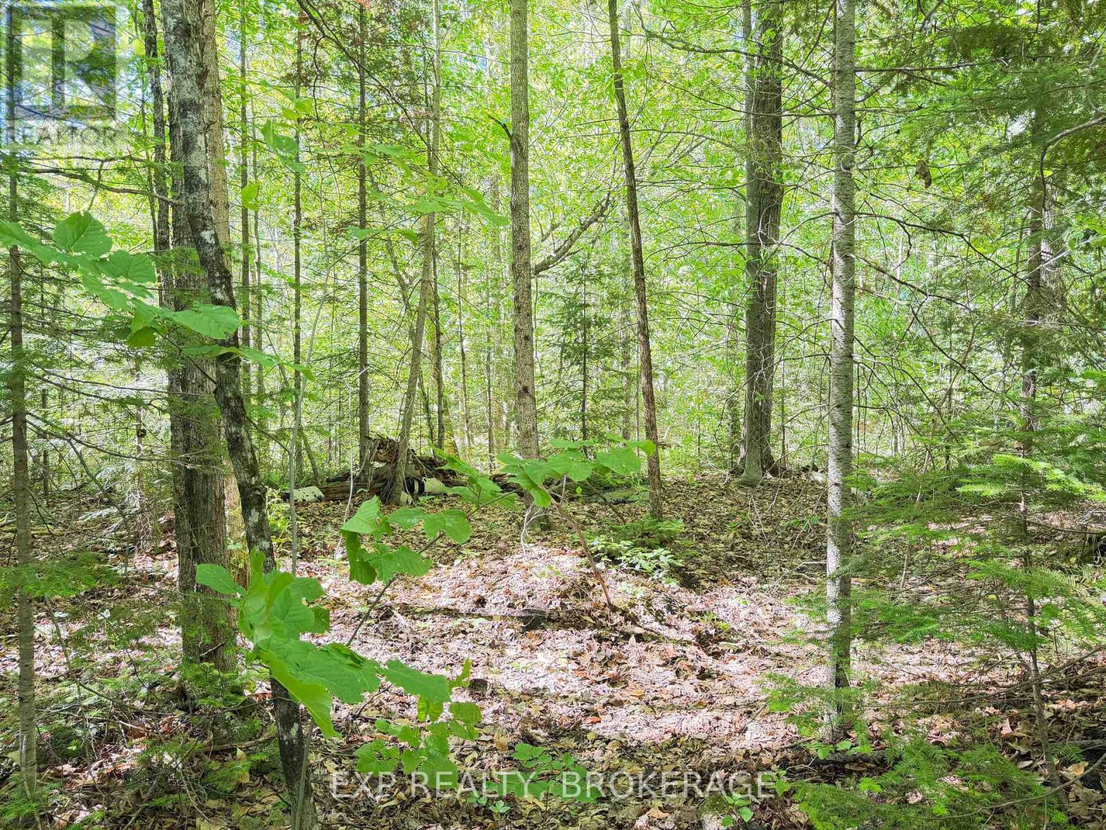 00 Steiger Road, Frontenac, Ontario K0H 1B0 - Photo 10 - X13462528