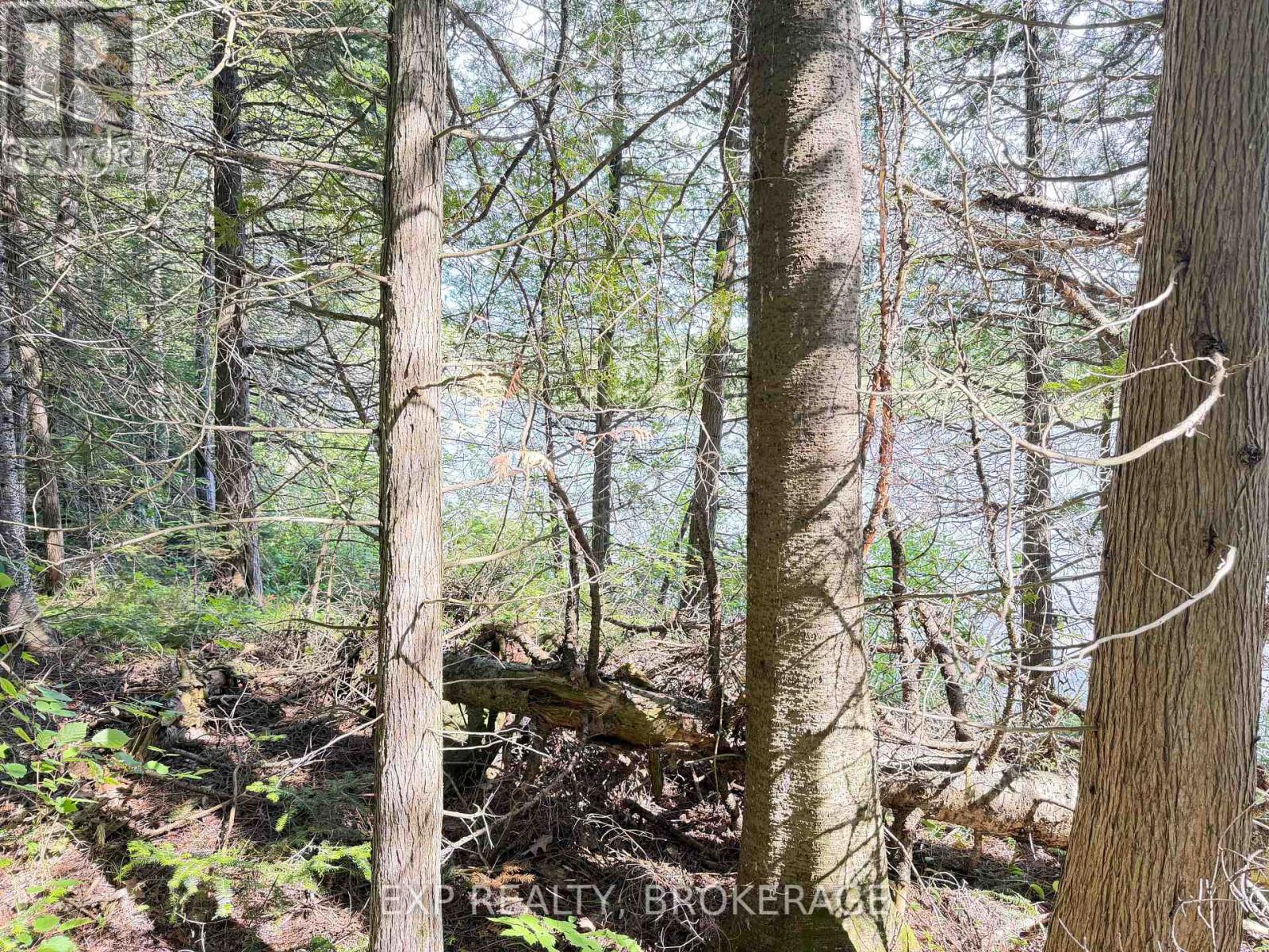 00 Steiger Road, Frontenac, Ontario K0H 1B0 - Photo 2 - X13462528