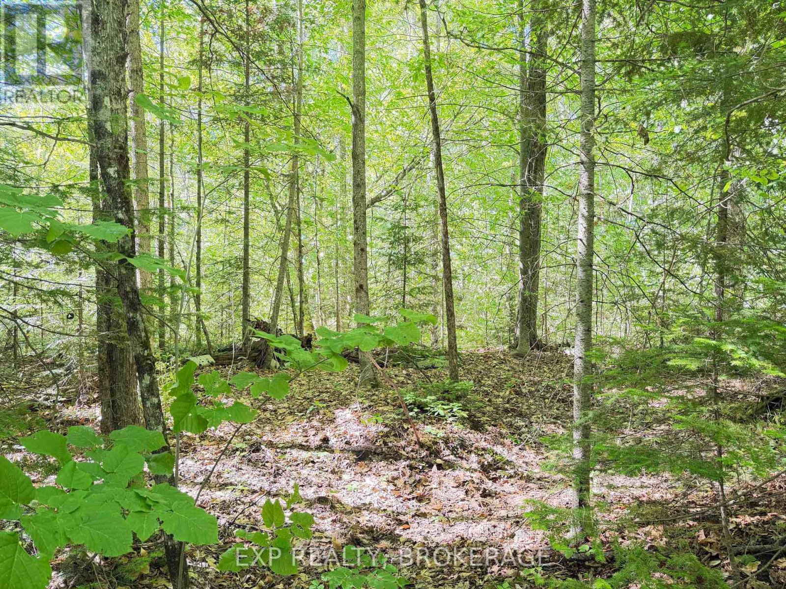 00 Steiger Road, Frontenac, Ontario K0H 1B0 - Photo 5 - X13462528