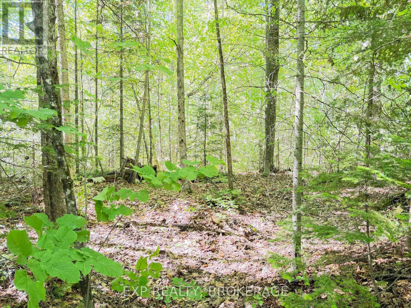 00 Steiger Road, Frontenac, Ontario K0H 1B0 - Photo 6 - X13462528