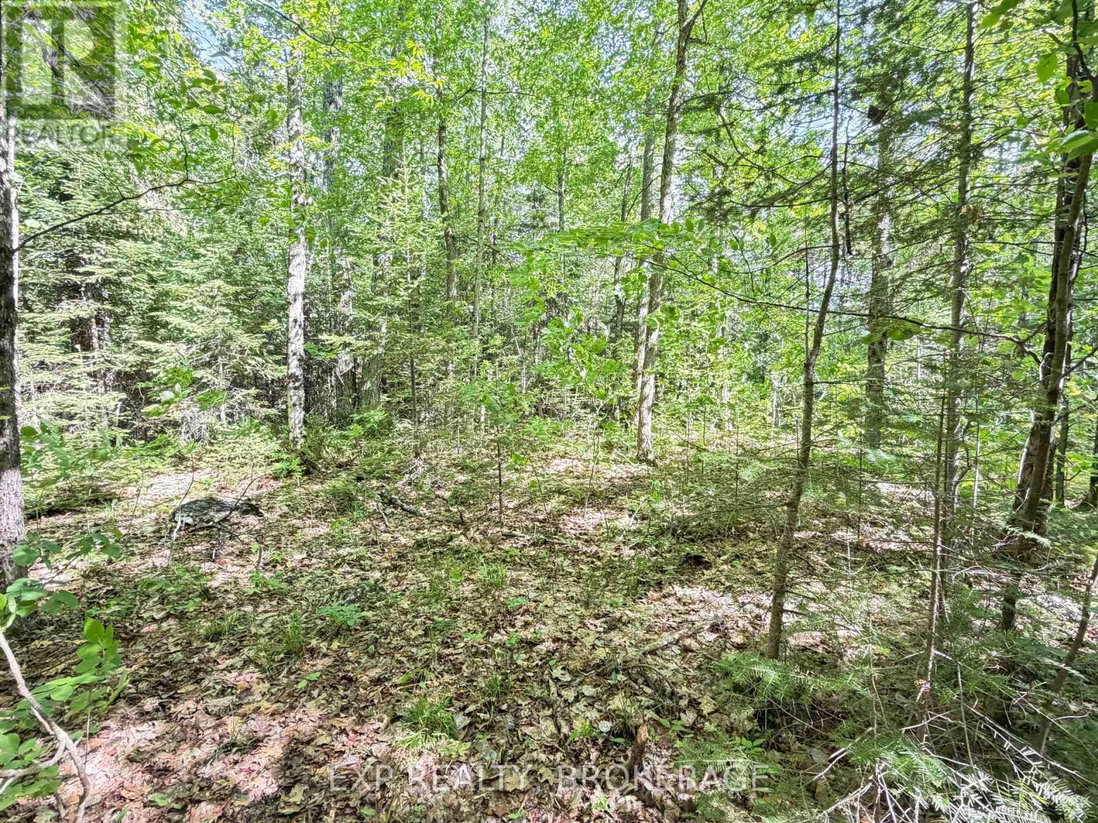 00 Steiger Road, Frontenac, Ontario K0H 1B0 - Photo 7 - X13462528