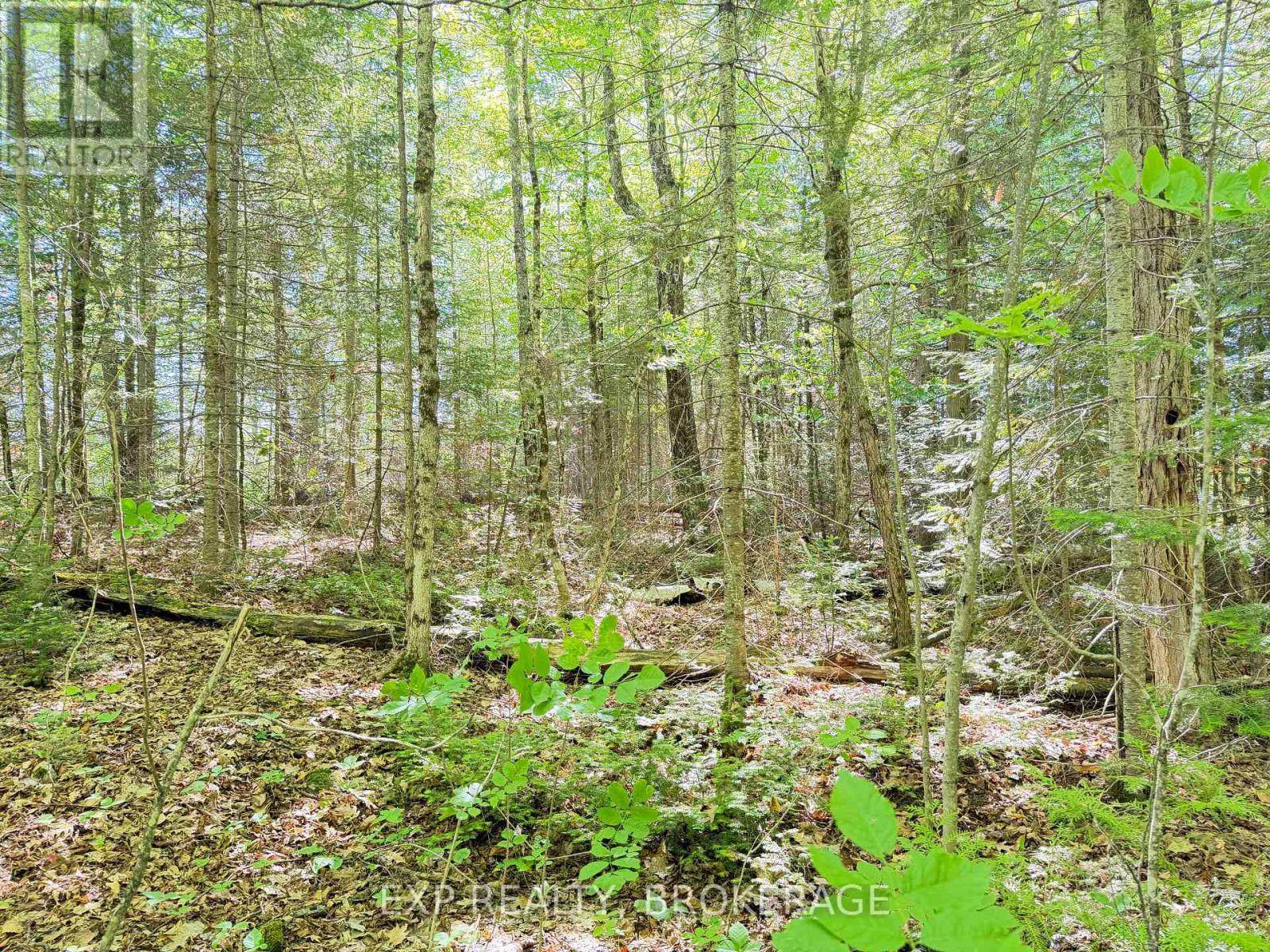 00 Steiger Road, Frontenac, Ontario K0H 1B0 - Photo 8 - X13462528