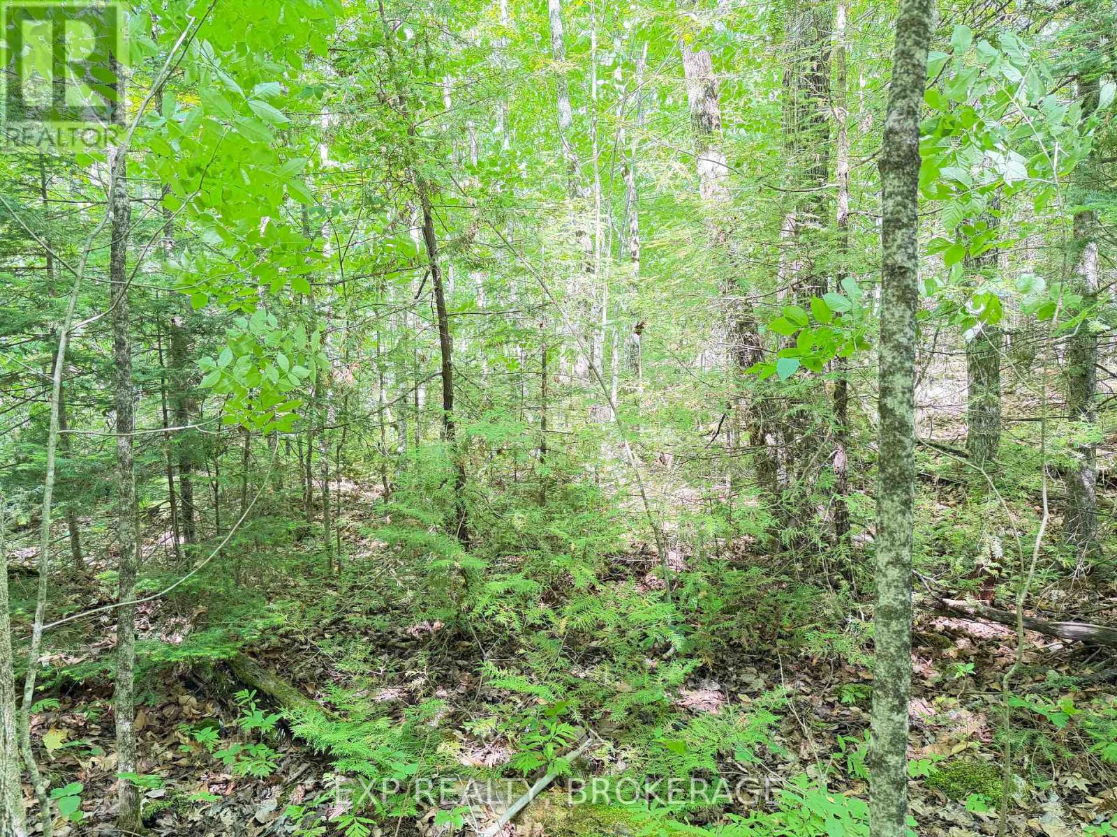 00 Steiger Road, Frontenac, Ontario K0H 1B0 - Photo 9 - X13462528