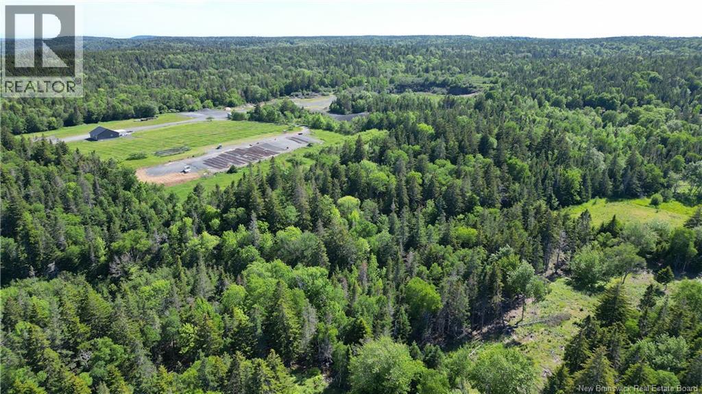 Whistle Road, Grand Manan, New Brunswick E5G 1B4 - Photo 11 - NB142252