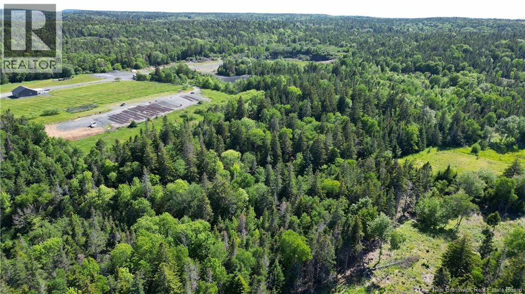 Whistle Road, Grand Manan, New Brunswick E5G 1B4 - Photo 12 - NB142252