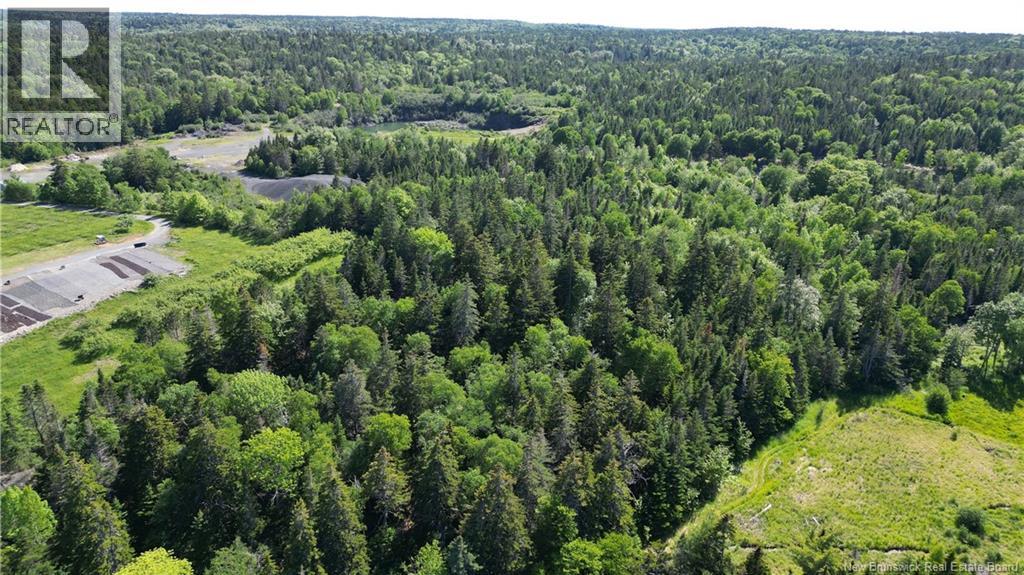 Whistle Road, Grand Manan, New Brunswick E5G 1B4 - Photo 13 - NB142252