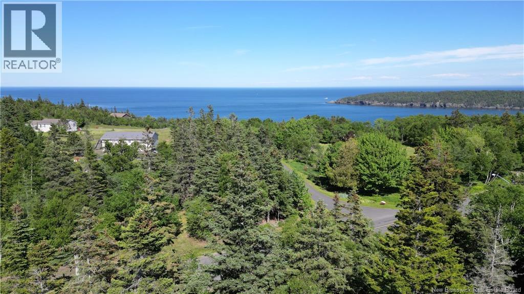 Whistle Road, Grand Manan, New Brunswick E5G 1B4 - Photo 14 - NB142252