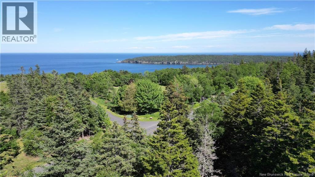 Whistle Road, Grand Manan, New Brunswick E5G 1B4 - Photo 15 - NB142252