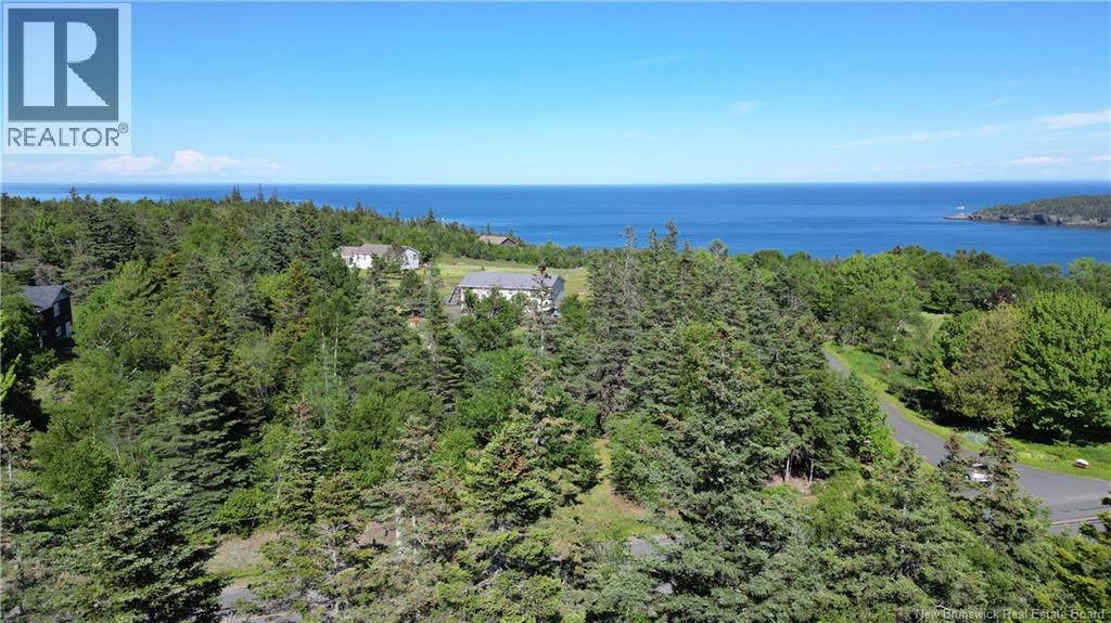 Whistle Road, Grand Manan, New Brunswick E5G 1B4 - Photo 16 - NB142252