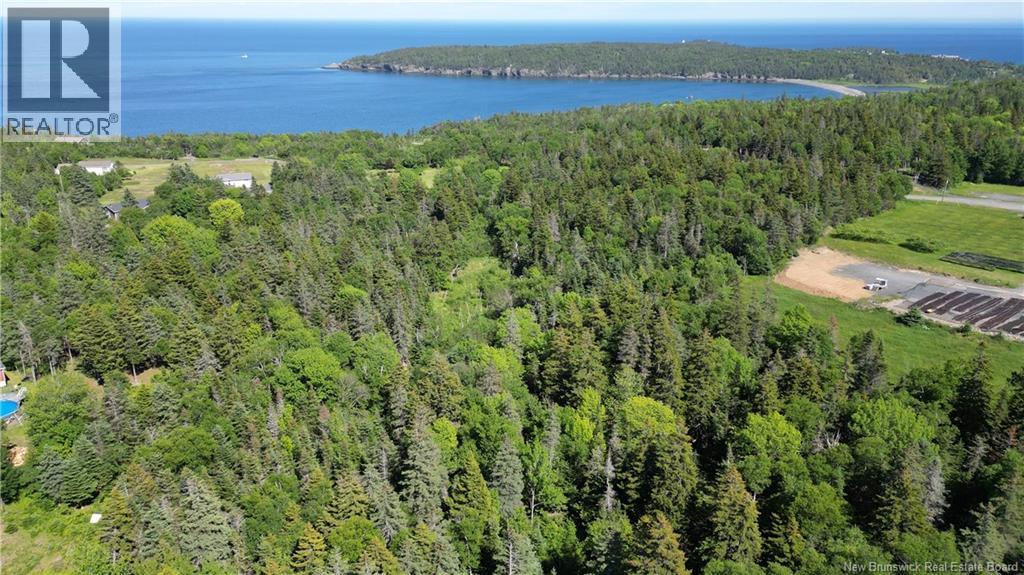Whistle Road, Grand Manan, New Brunswick E5G 1B4 - Photo 5 - NB142252