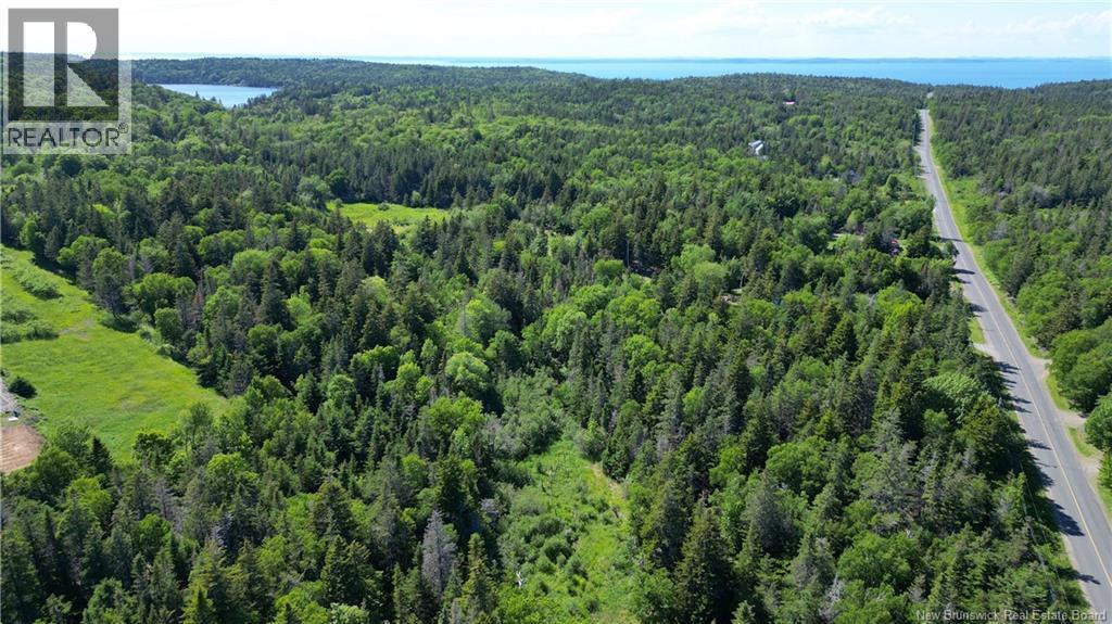 Whistle Road, Grand Manan, New Brunswick E5G 1B4 - Photo 9 - NB142252