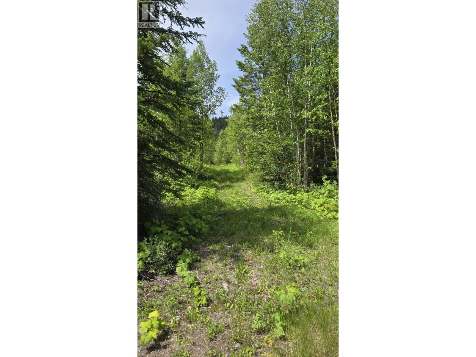 2676 Eagle Creek Road, Canim Lake, British Columbia  V0K 1L0 - Photo 15 - R3137494