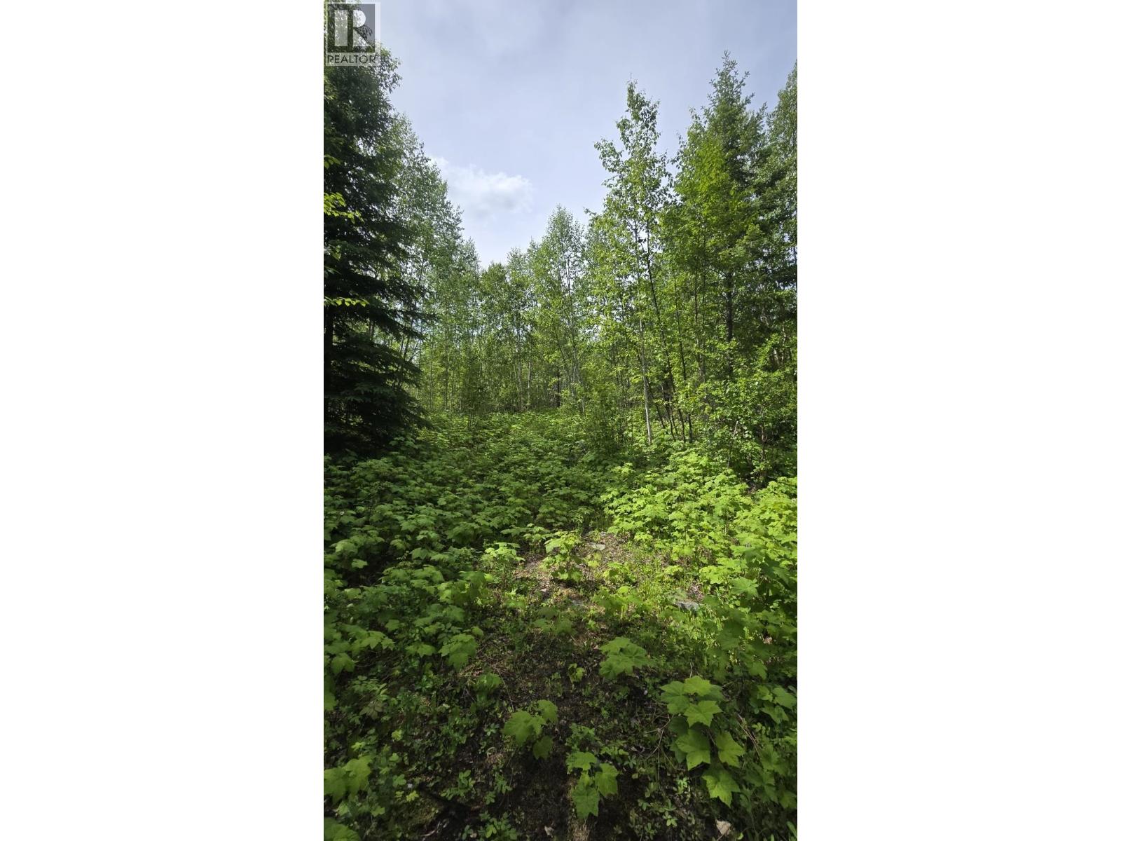 2676 Eagle Creek Road, Canim Lake, British Columbia  V0K 1L0 - Photo 16 - R3137494