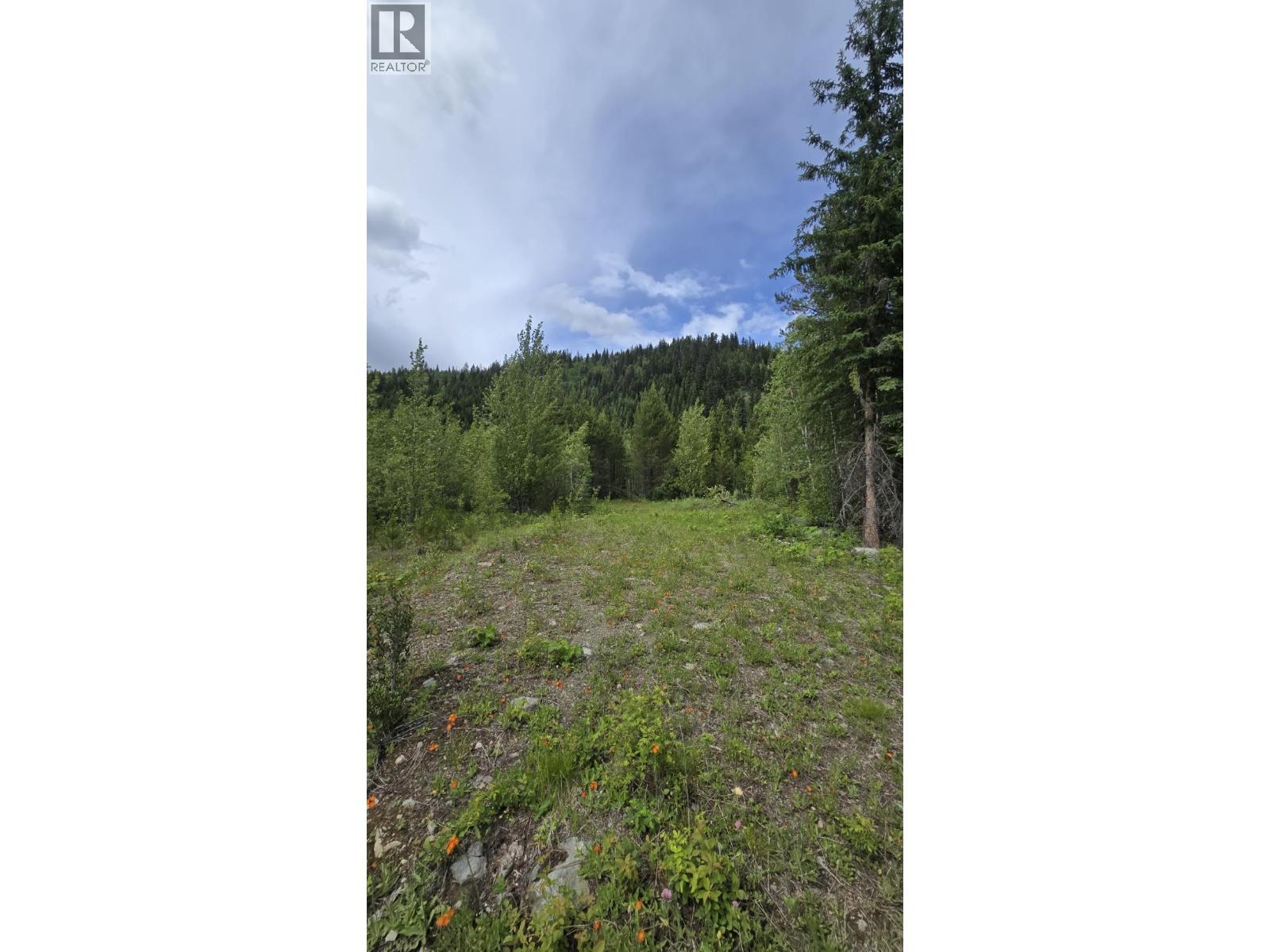 2676 Eagle Creek Road, Canim Lake, British Columbia  V0K 1L0 - Photo 18 - R3137494