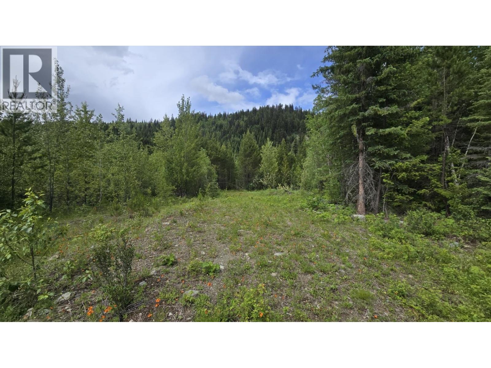 2676 Eagle Creek Road, Canim Lake, British Columbia  V0K 1L0 - Photo 19 - R3137494