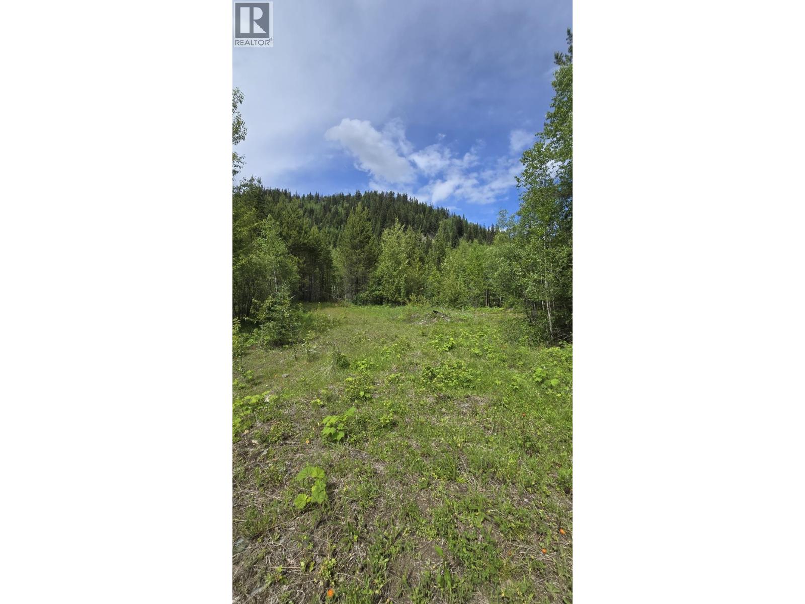2676 Eagle Creek Road, Canim Lake, British Columbia  V0K 1L0 - Photo 20 - R3137494